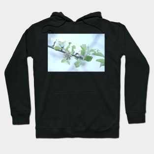 Nectarine Blossoms Hoodie